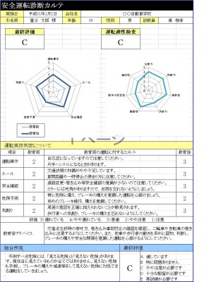 安全運転診断カルテ